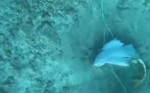 Detectan una red de pesca ilegal en Lanzarote