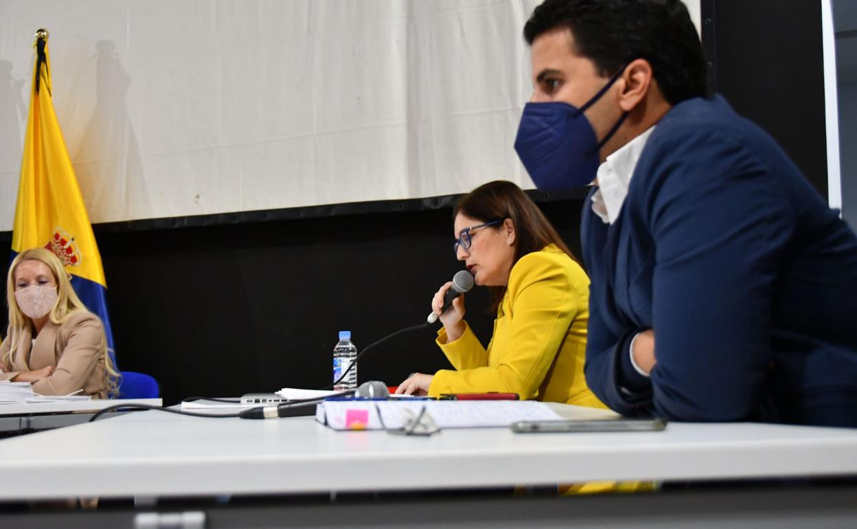 La edil de Hacienda, Inés Rodríguez, durante su intervención en el pleno. 