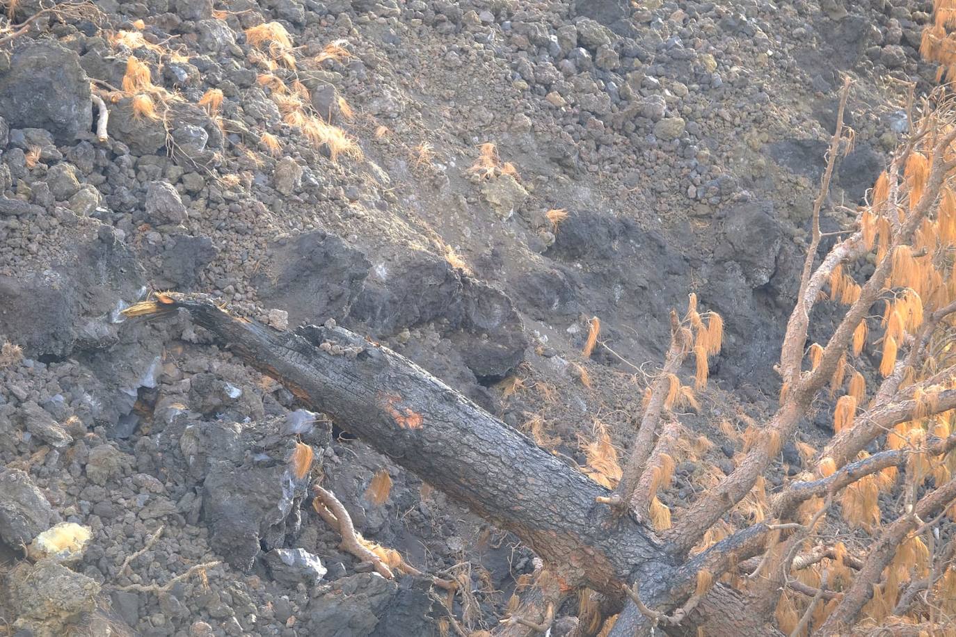 Fotos: Vista del volcán desde una zona de coladas