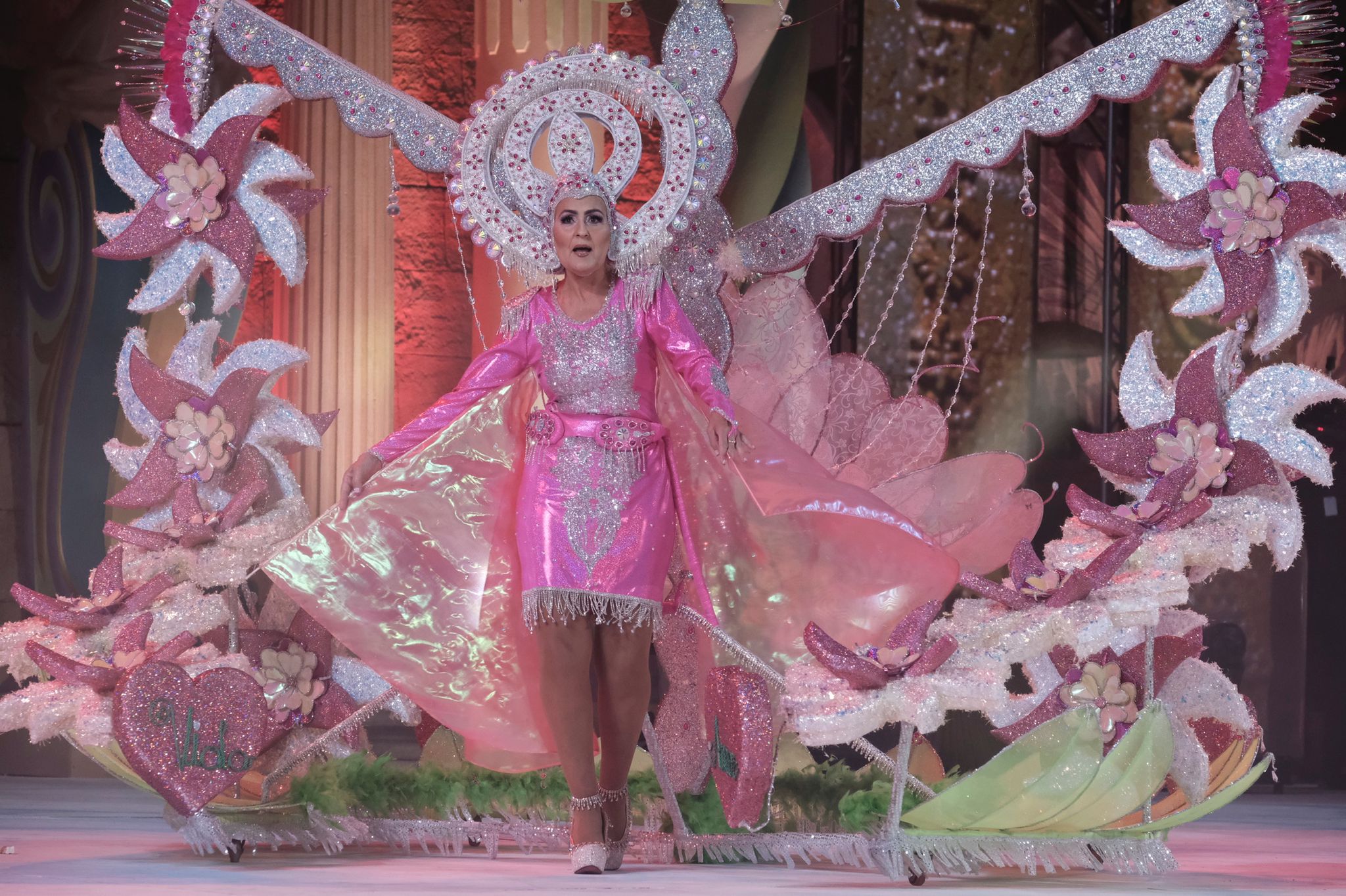 TIENDA DE ANIMALES ARPIPLAN presentó a María Suárez Suárez con la fantasía ‘Que no se acabe el mundo’, un diseño propio.