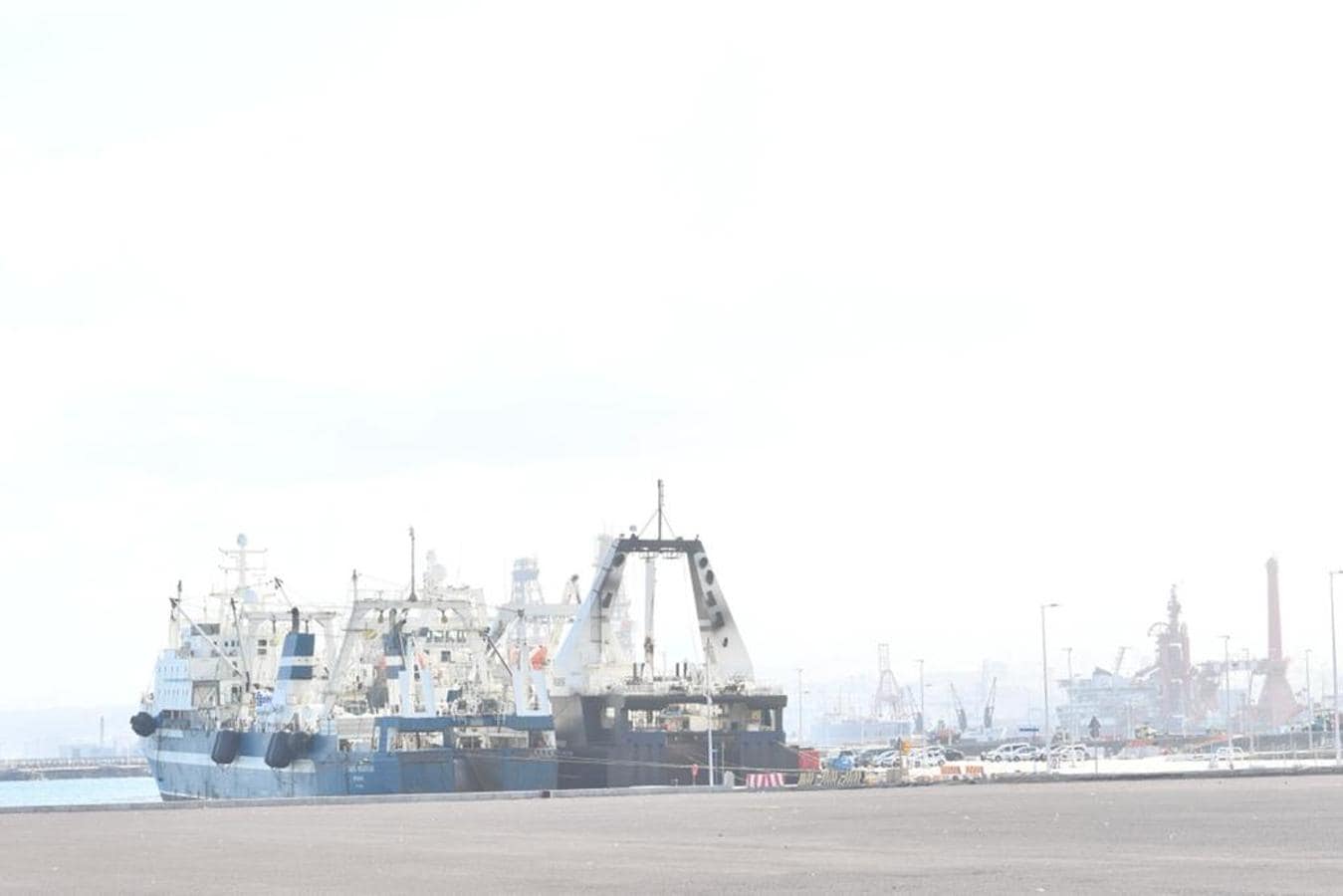 Fotos: El puerto de Las Palmas, con 3 barcos rusos atracados, a la espera del veto