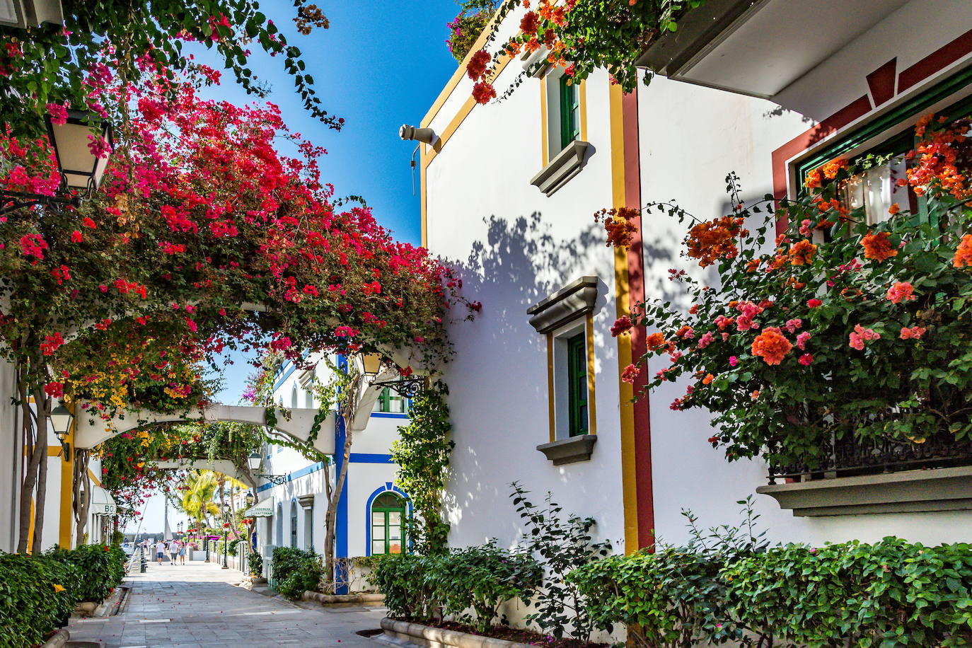 Las rosas enlos arcos de las calles de Puerto Mogán, en Gran Canaria (España)
