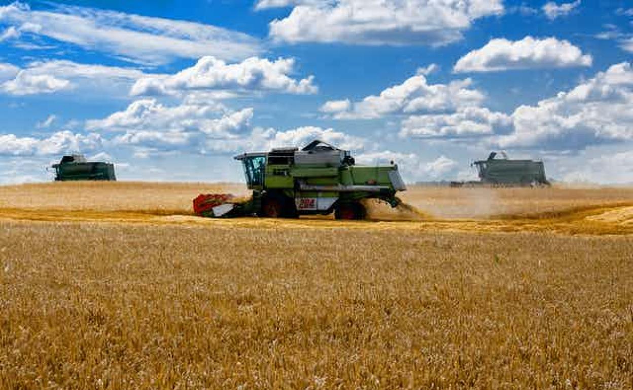 Cómo afecta a África la invasión de Ucrania