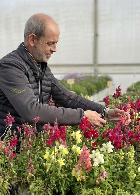 Imagen - Jacobo Pereira, director de cultivo de plantas de Fronda, recoge flores comestibles. / INÉS ALIX