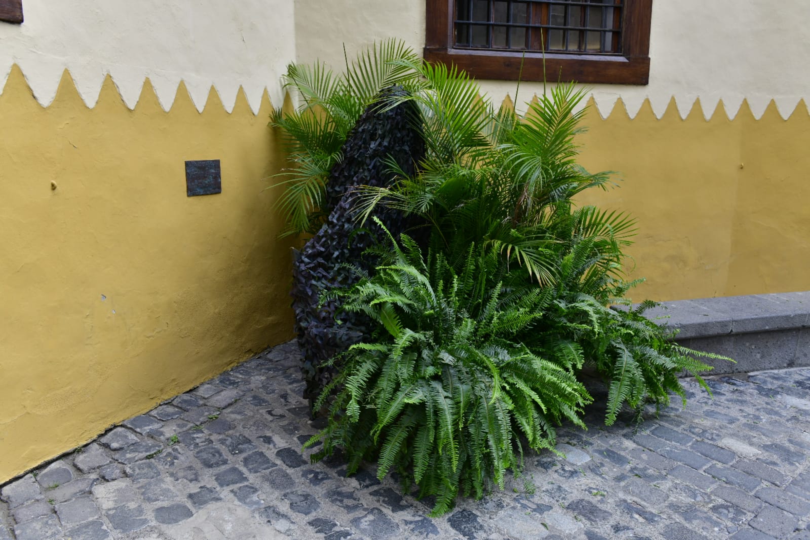 Fotos: Sigue el rodaje de The Mother en Vegueta