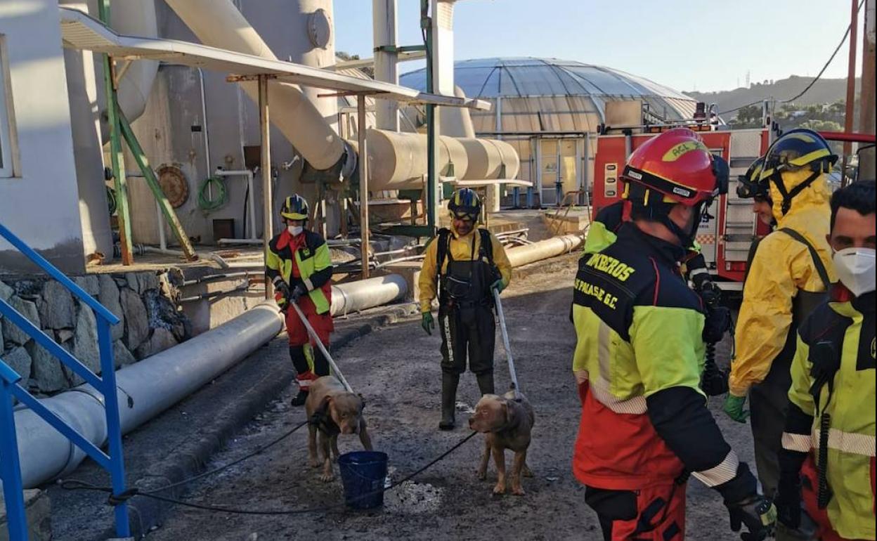 Rescatan a dos perros en una depuradora de Barranco Seco