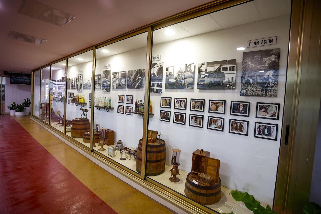 Fotos: Zafra de la caña de azúcar