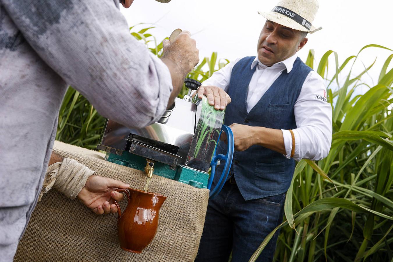 Fotos: Zafra de la caña de azúcar