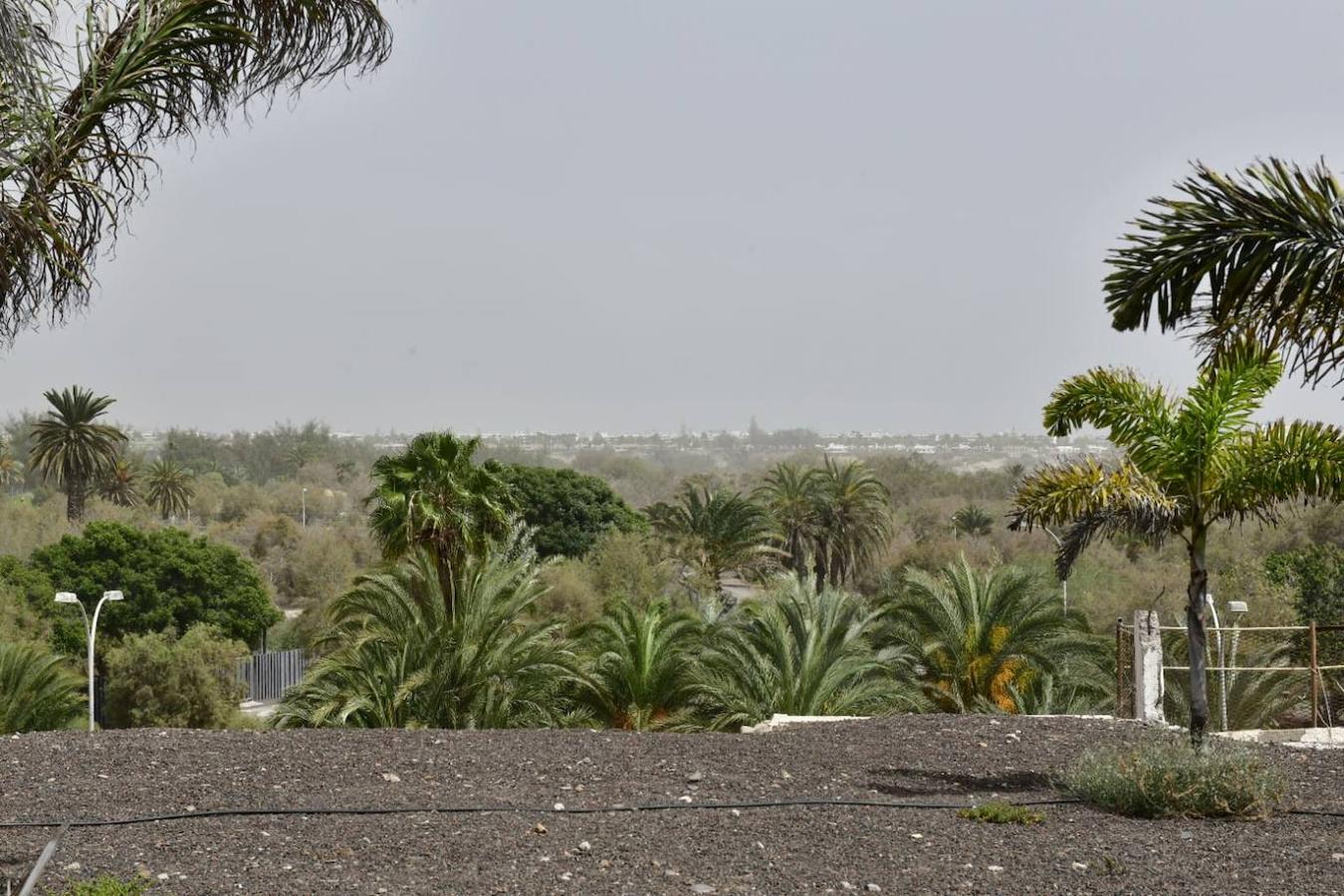 Fotos: La calima vuelve a cubrir Canarias
