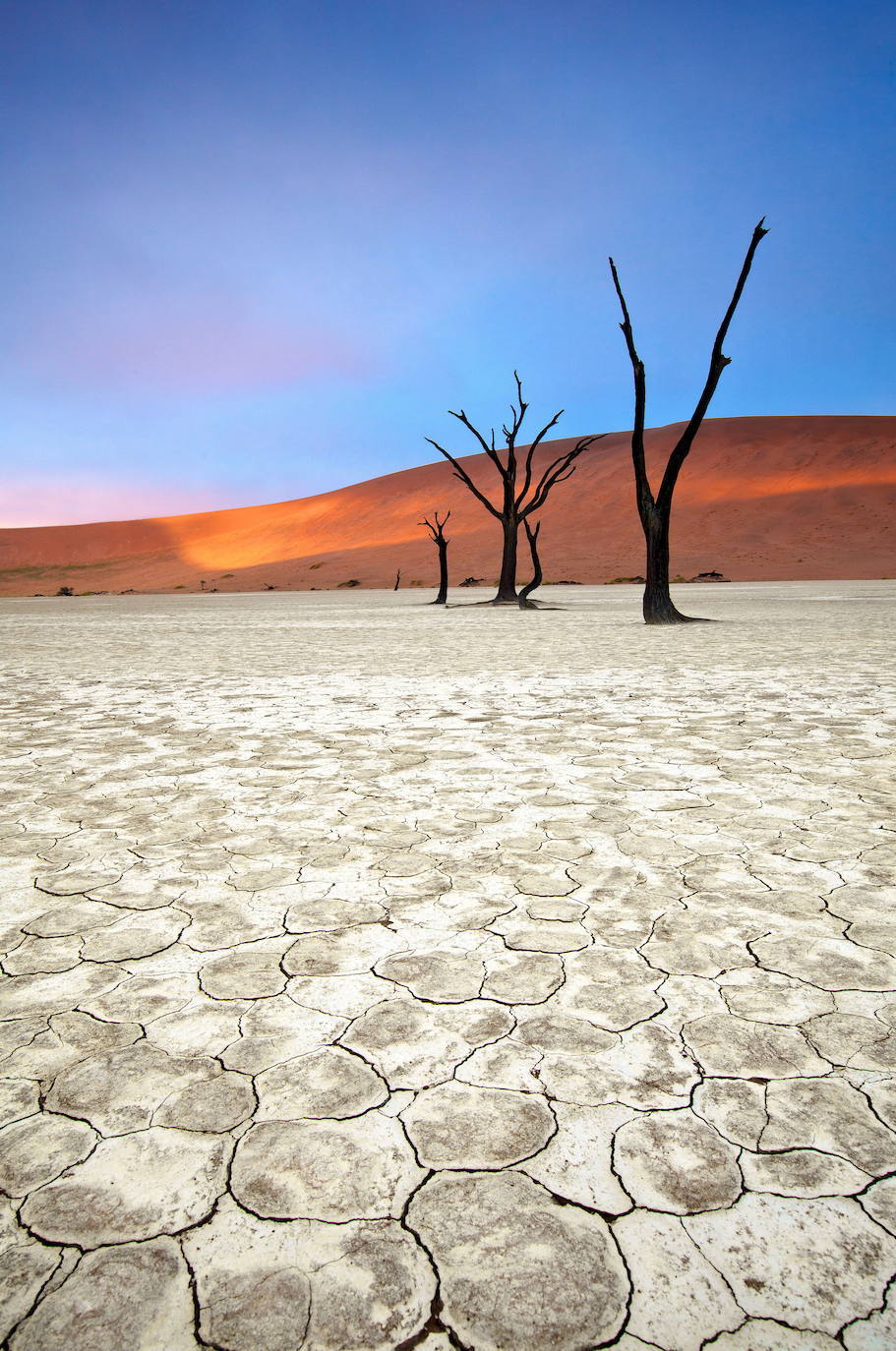 Deadvlei o Valle de la Muerte (Namibia) | Este increíble cementerio de árboles de 900 años está ubicado en la reserva del parque Namib-Naukluft, en el desierto de Namib, considerado el desierto más longevo del mundo, pues ya existía durante la Era Terciaria, el período en el que se extinguieron los dinosaurios.