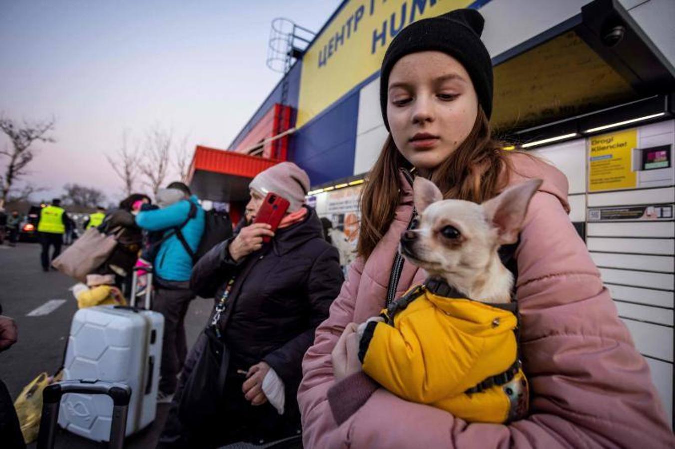 Una niña refugiada junto a su perro.