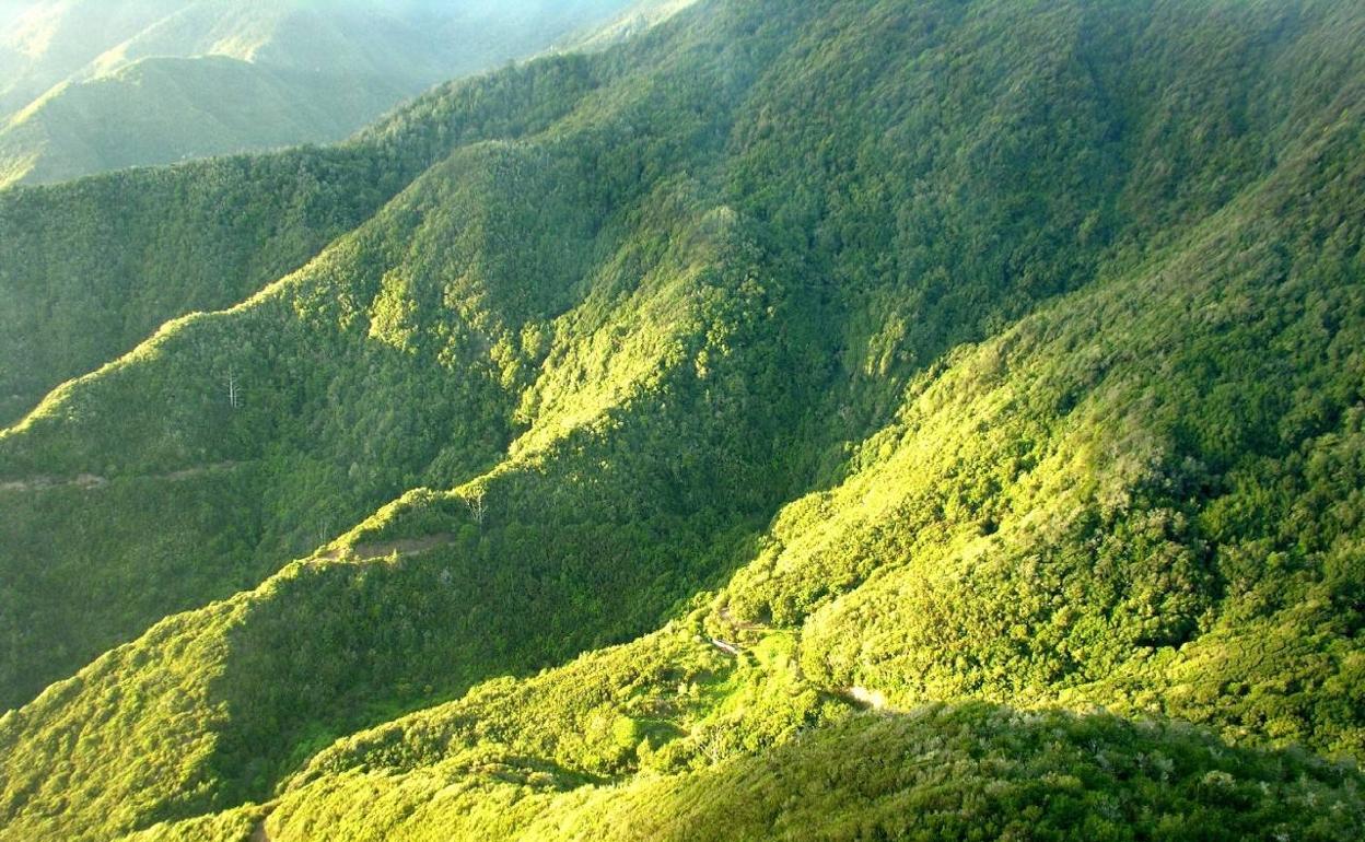 Parque Garajonay, La Gomera