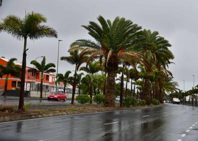 Imagen secundaria 1 - Tras el fin de la alerta, vuelve el viento fuerte este miércoles a Gran Canaria