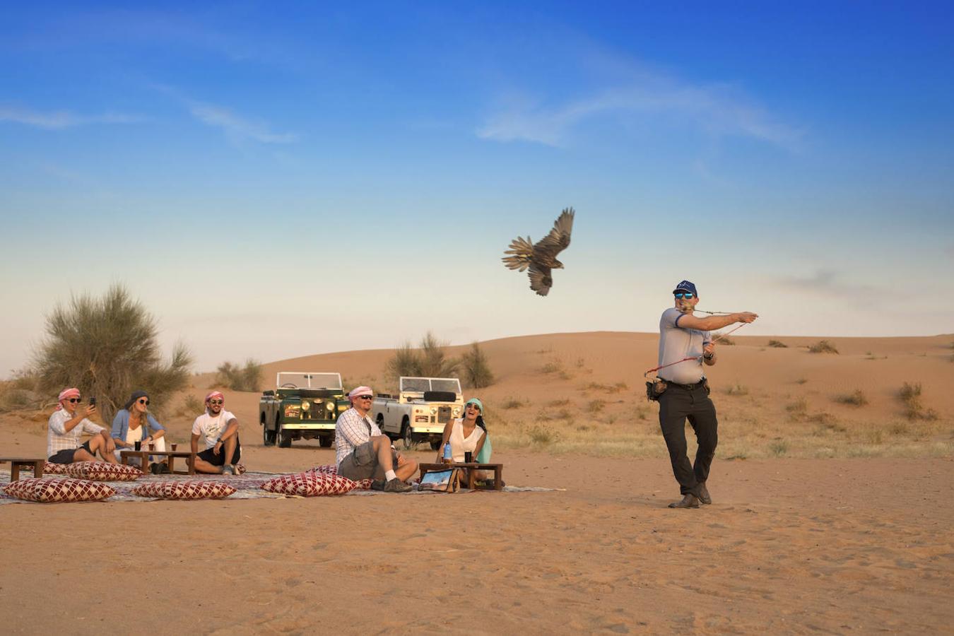 a exhibición de halcones es una de las ofertas turísticas del desierto, junto a los paseos a camello, el safari fotográfico de órix y otras especies o las cenas típicas en campamentos