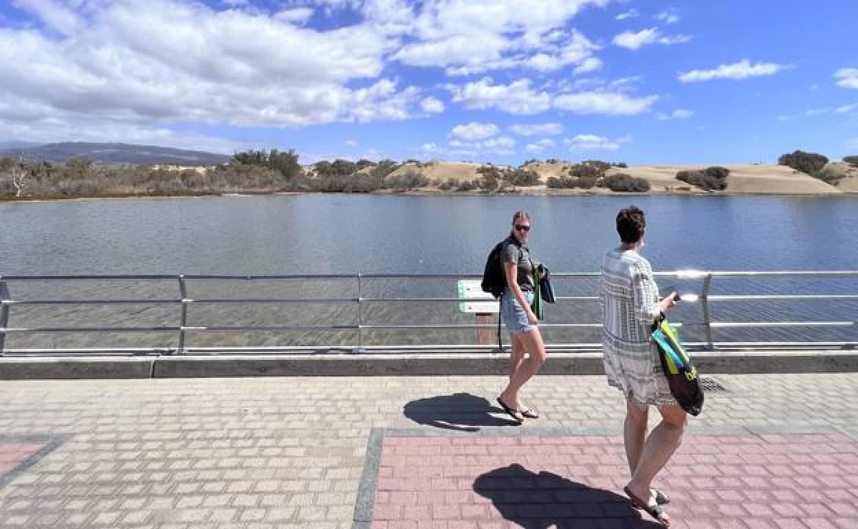 Foto de archivo de un día despejado en la Charca de Maspalomas. 