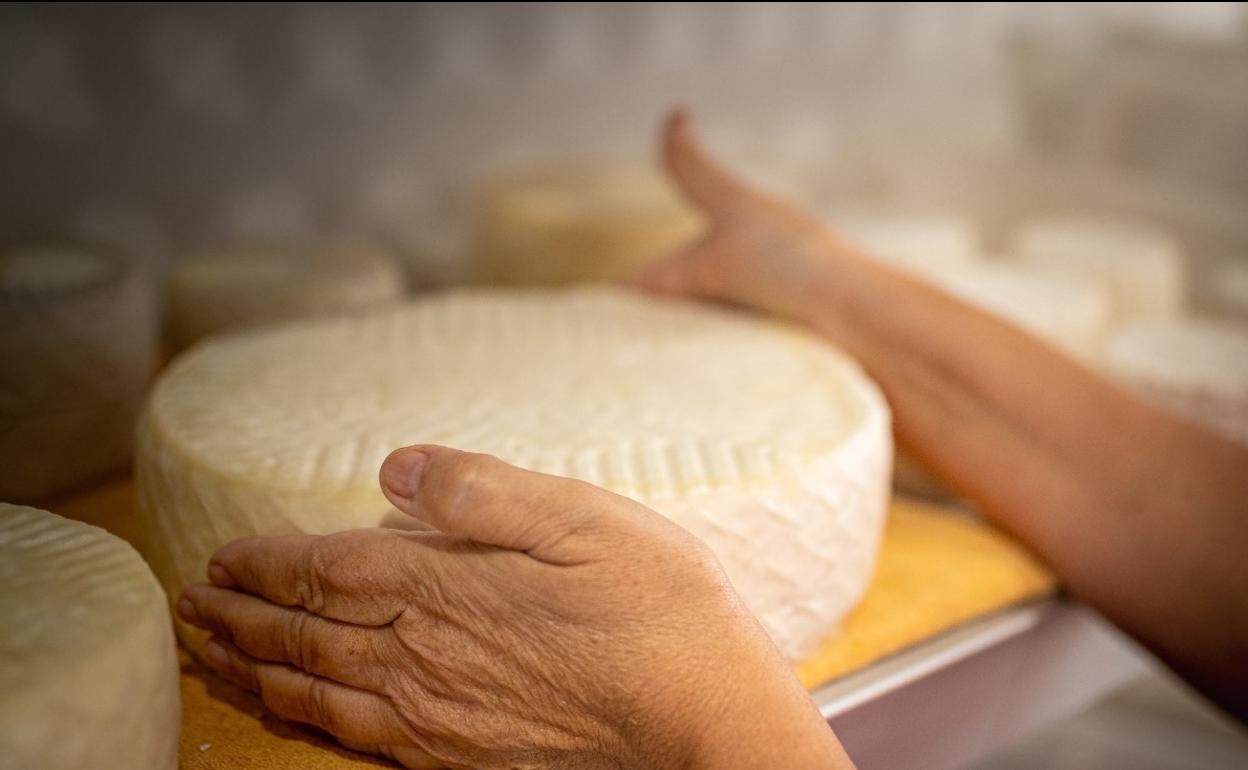 De las más de 800 muestras de toda España, se han seleccionado 90 finalistas. 