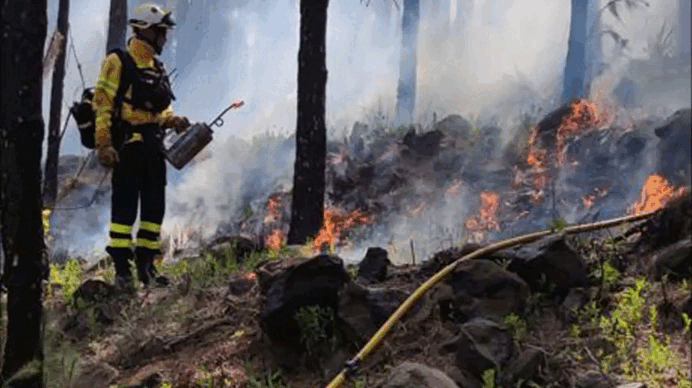 Las quemas prescritas empezaron ayer en el Pico de La Gorra. 