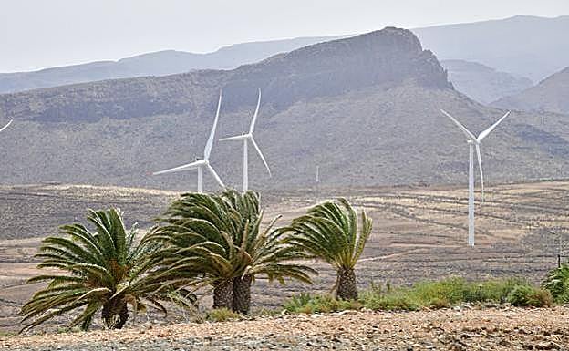 Episodio de viento en Gran Canaria. 