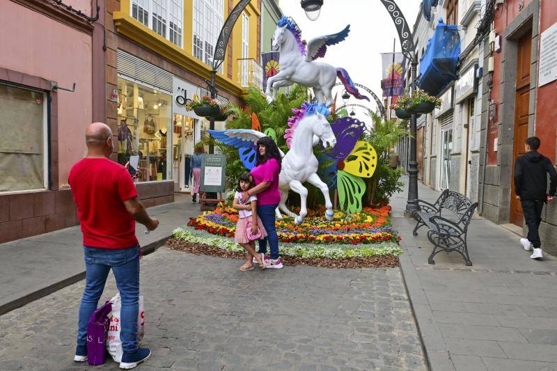 Fotos: Más de 11.000 flores y plantas dan color Gáldar