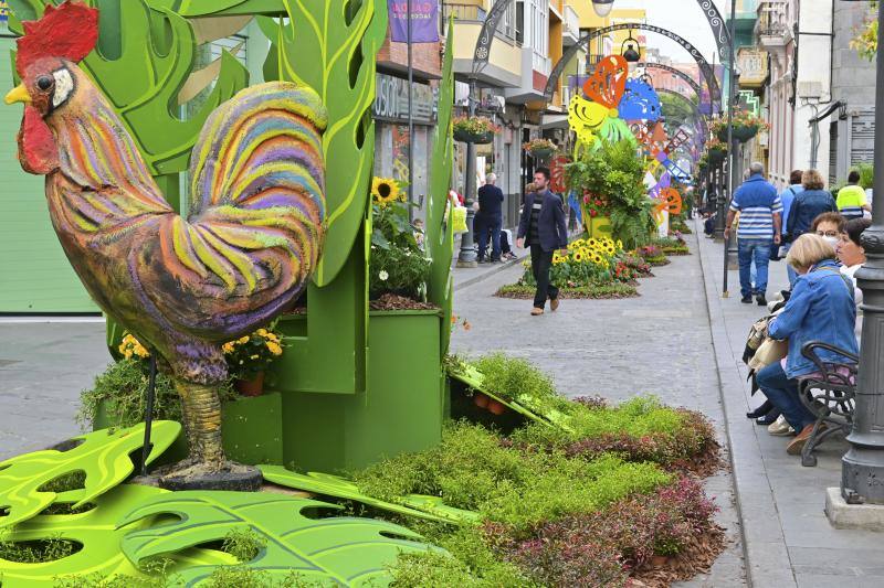 Fotos: Más de 11.000 flores y plantas dan color Gáldar