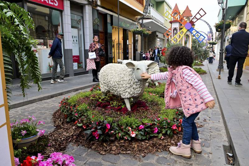 Fotos: Más de 11.000 flores y plantas dan color Gáldar