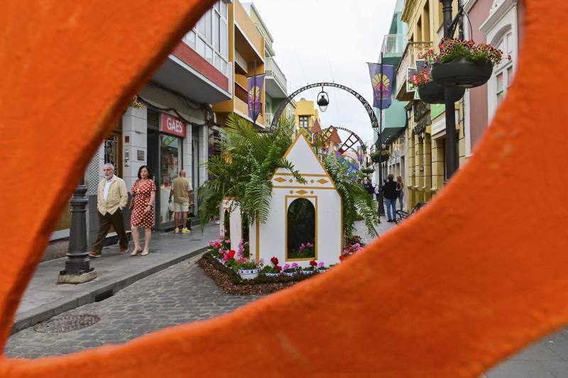 Fotos: Más de 11.000 flores y plantas dan color Gáldar