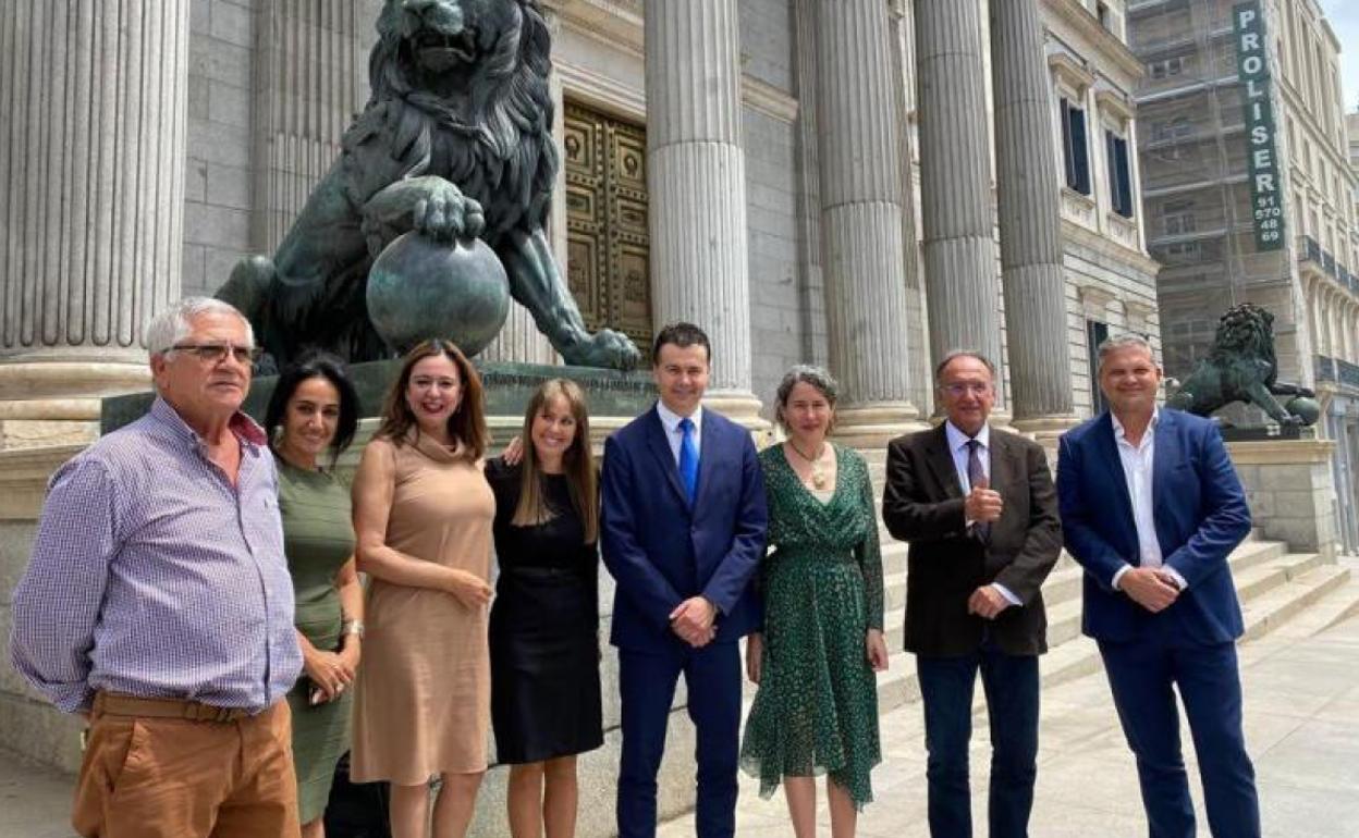 Delegación insular este jueves en Madrid, para estar en el Congreso de los Diputados. 