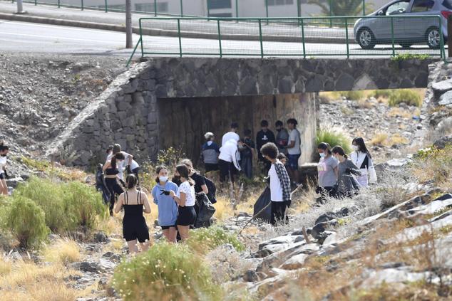Fotos: Alumnado del IES Josefina de la Torre le dan una batida al barranco del Polvo