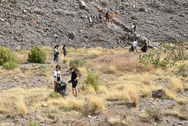 Fotos: Alumnado del IES Josefina de la Torre le dan una batida al barranco del Polvo