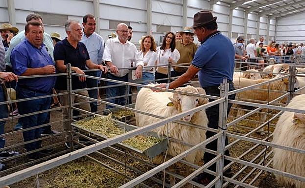 El presidente del Gobierno de Canarias, Ángel Víctor Torres, durante la visita de hoy. 
