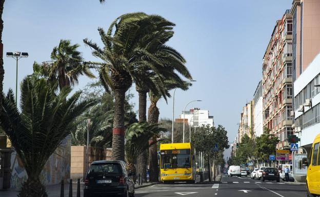 Episodio de viento en Las Palmas de Gran Canaria. 