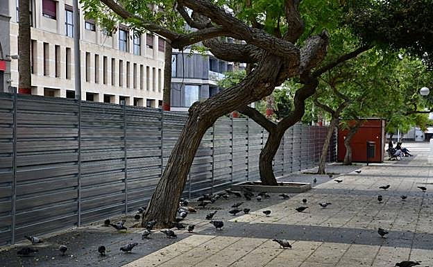 Imagen interior de la zona delimitada con vallas. 