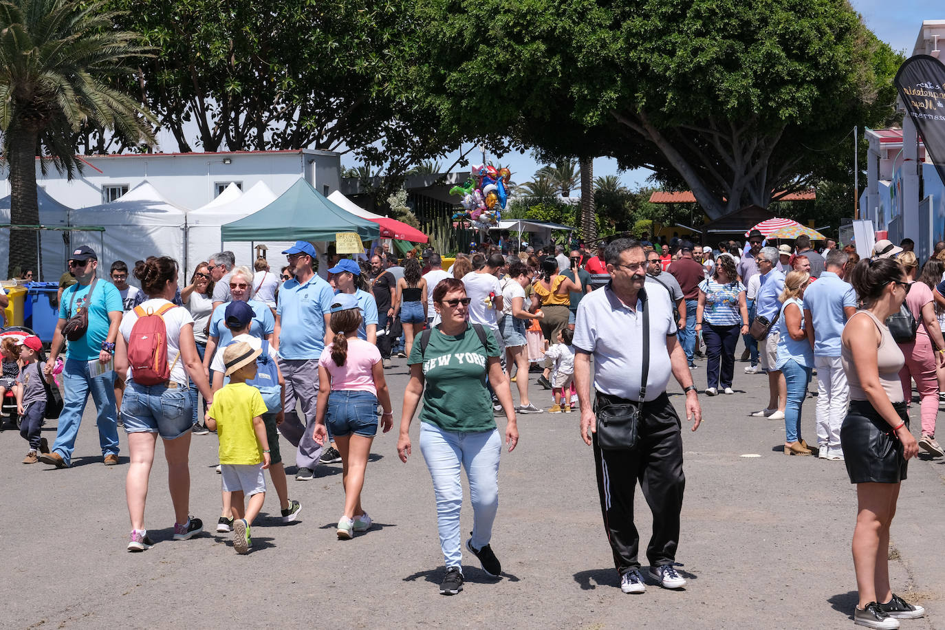 Fotos: Feria de Ganado en Gran Canaria