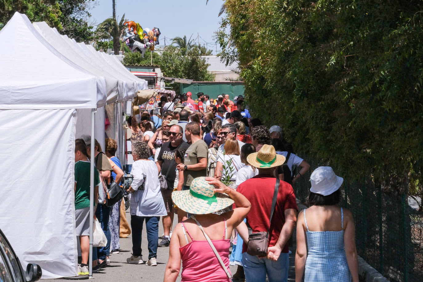 Fotos: Feria de Ganado en Gran Canaria