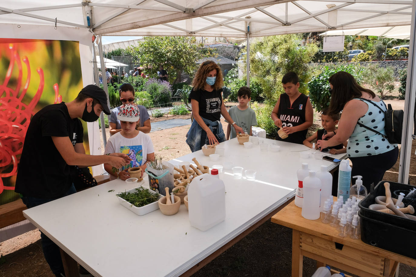 Fotos: Feria de Ganado en Gran Canaria