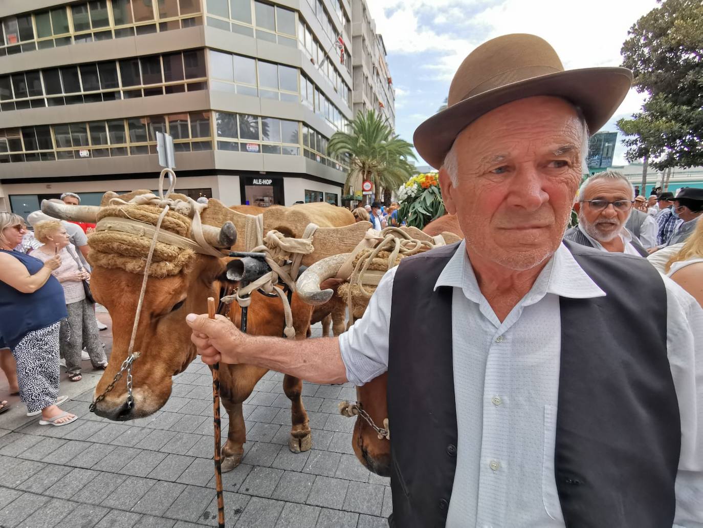 Fotos: El Paseo Romero regresa con fuerza