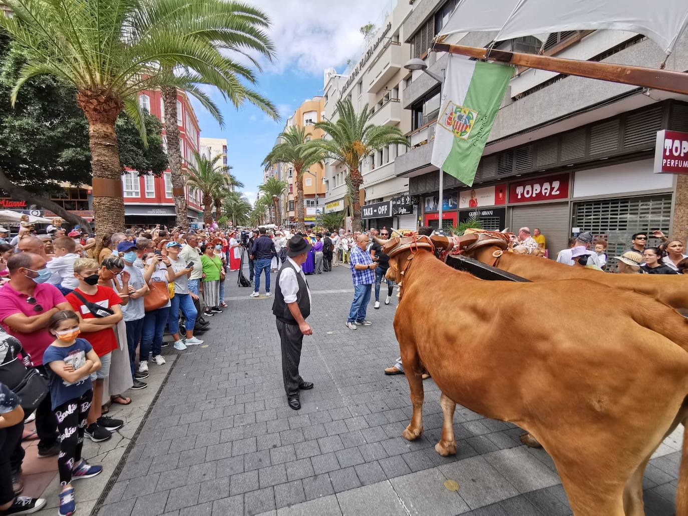 Fotos: El Paseo Romero regresa con fuerza