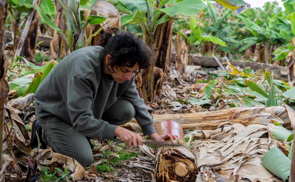 La artista italiana Giuliana Conte. 