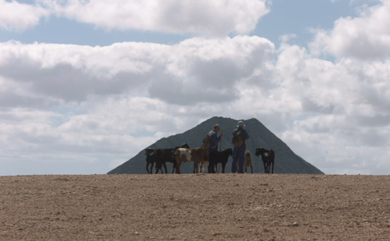 Los dos hermanos Cabrera, con los machos a la altura de la montaña de Tindaya. 