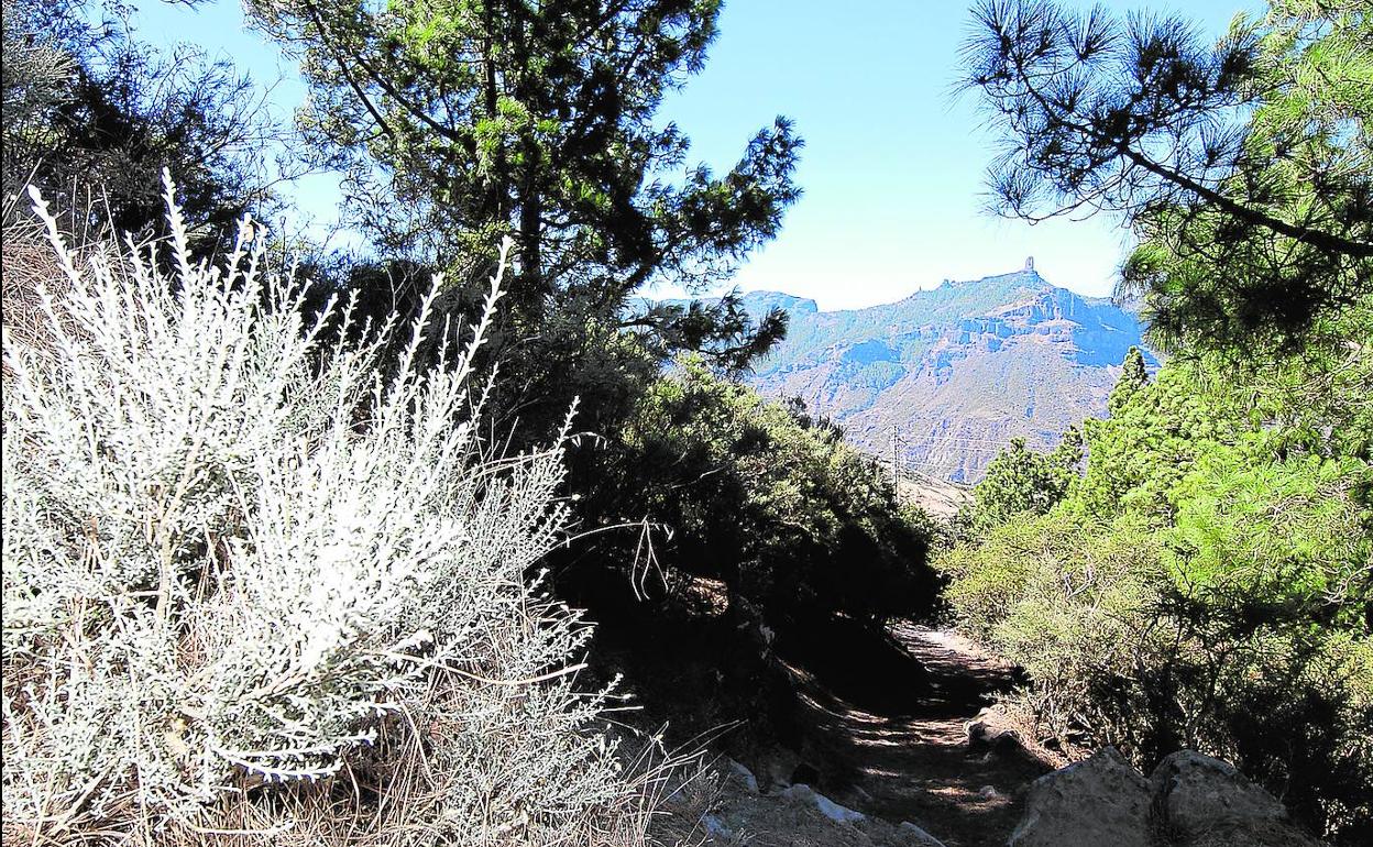 El Camino de Santiago de Gran Canaria es para amantes del contacto directo con la naturaleza, con vistas espectaculares. 
