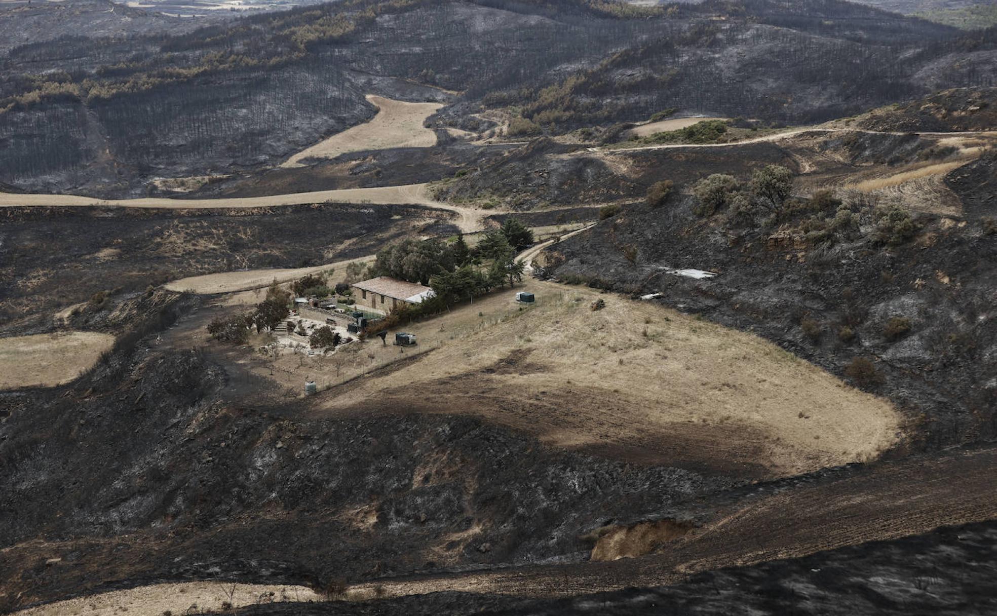 Parte del terreno de la Sierra de la Culebra abrasado por el fuego.