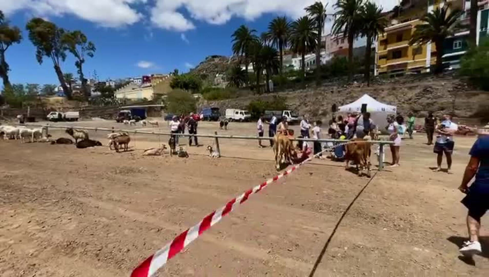 La magia se siente en la fiesta de San Juan de Telde