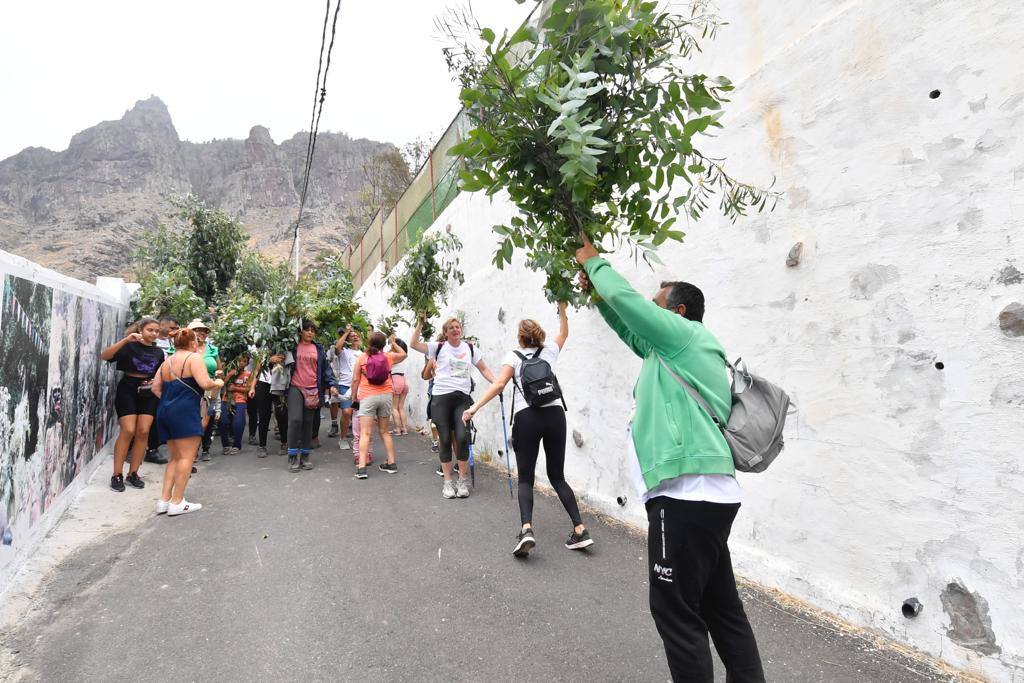 Fotos: El Valle de Agaete estará de fiesta todo el día