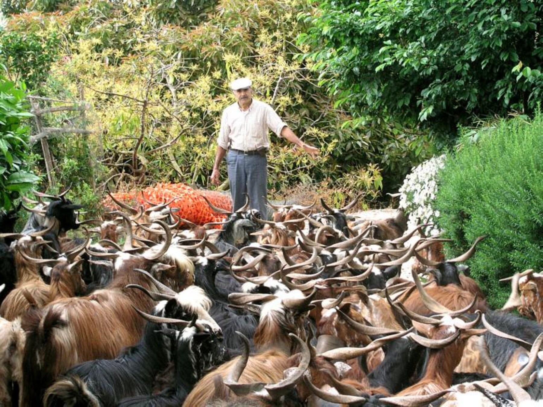 Torres se compromete «a revisar» el REA para evitar un perjuicio a los ganaderos