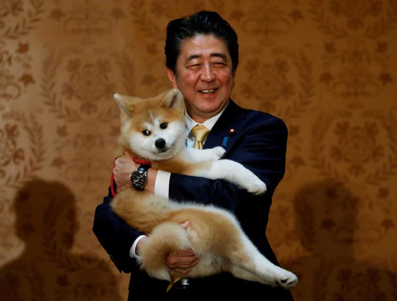 Shinzo Abe posa en una imagen de archivo con un cachorro de Akita Inu, una raza originaria de Japón 