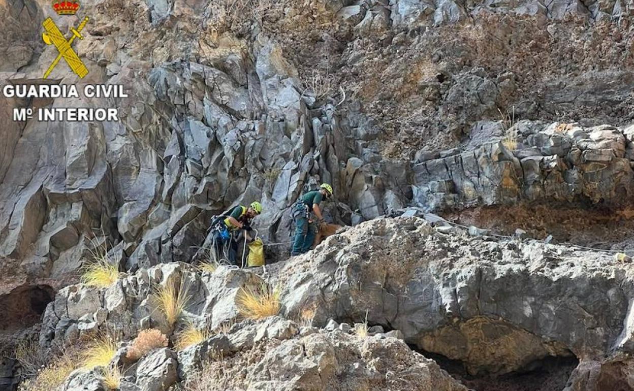 Momento del rescate. 