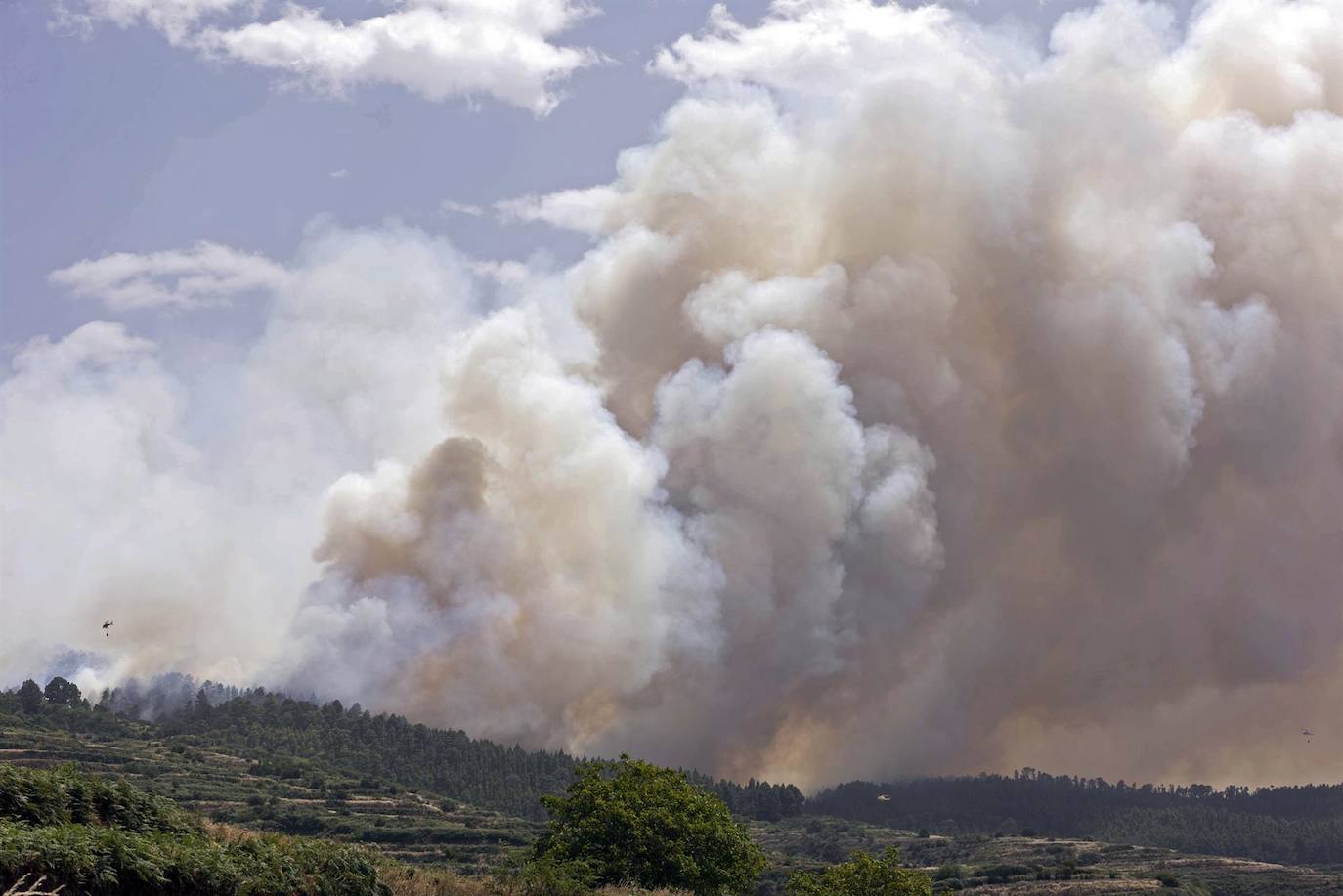 Fotos: Incendio forestal que se ha declarado en la zona de Los Campeches en Los Realejos