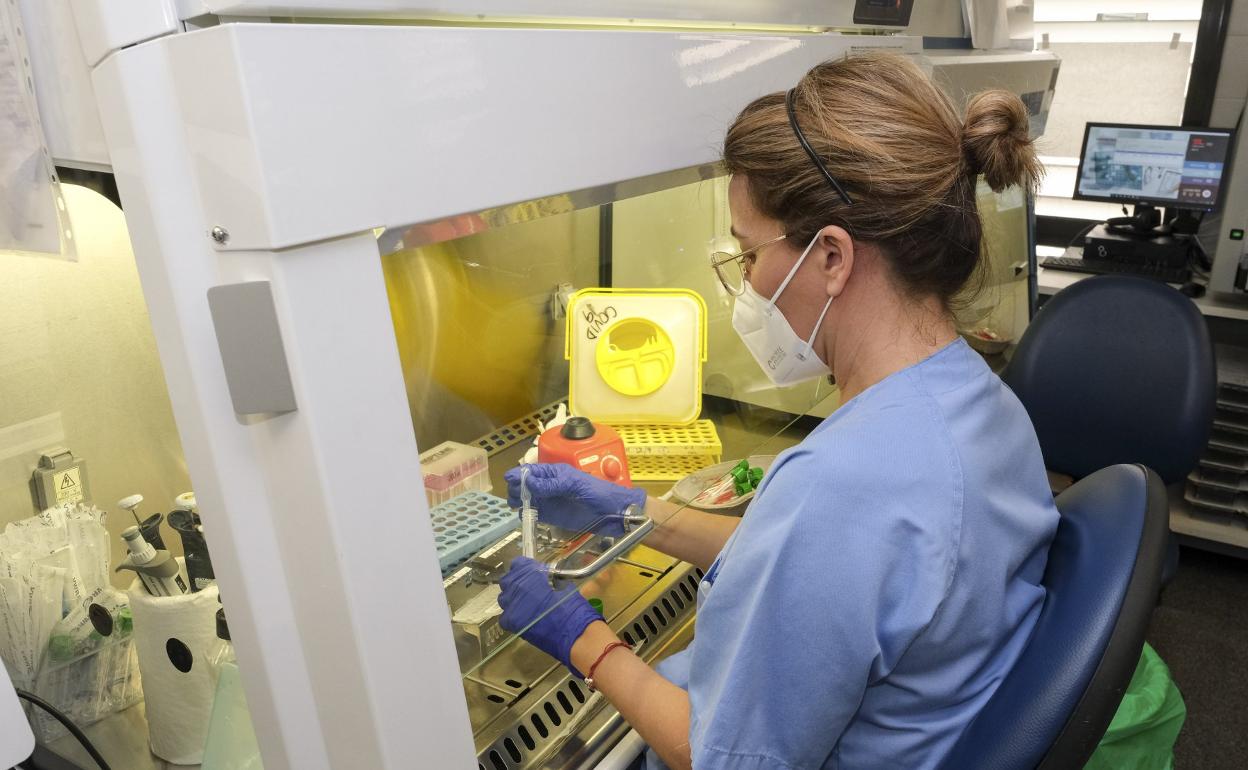 Imagen de archivo del laboratorio de microbiología del Negrín, uno de los lugares en los que se analizan pruebas de monkeypox. 