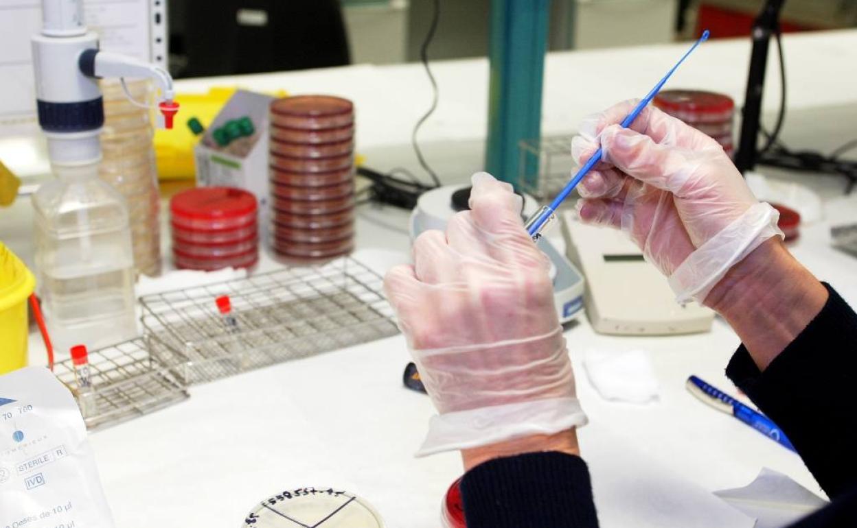 Canaria registra dos casos positivos y cuatro en estudio de viruela del mono