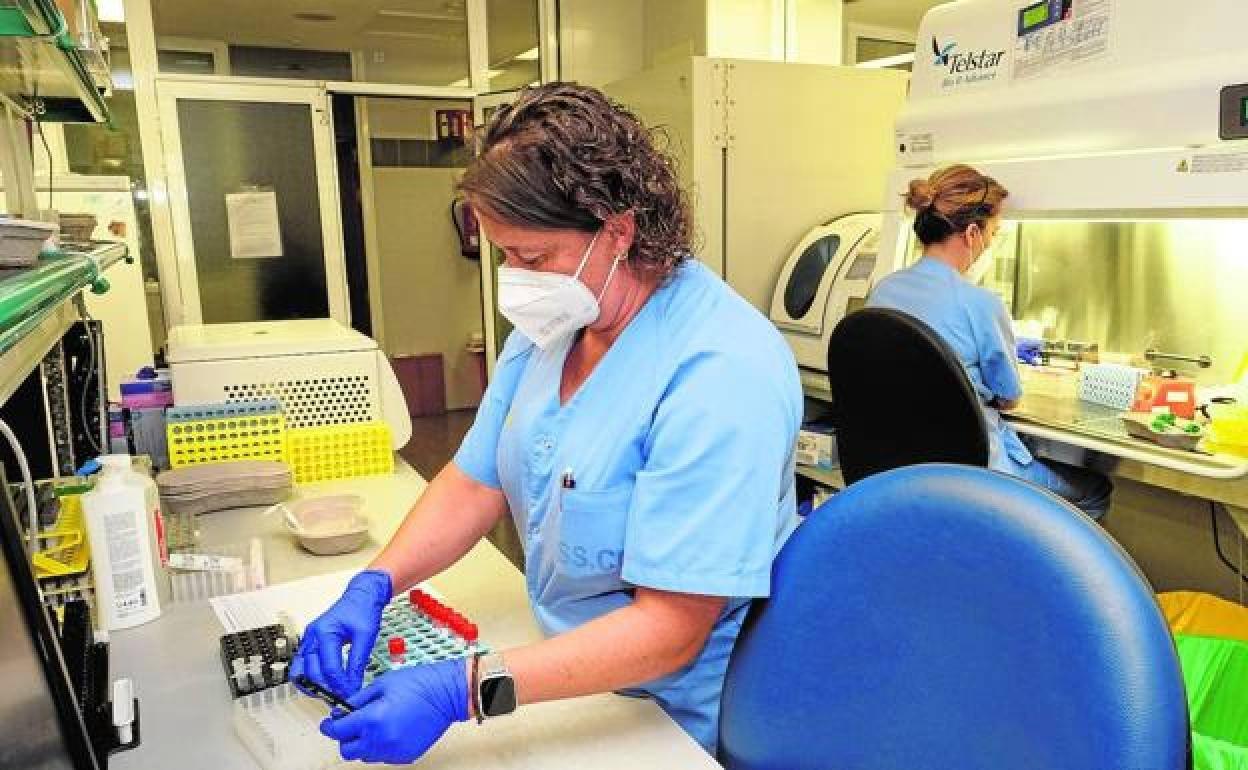 Canarias suma nueve positivos y 10 casos en estudio de viruela del mono